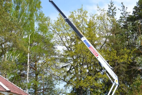 DINO220XTCII_tree_care_landscaping_pic14_hr-480x320