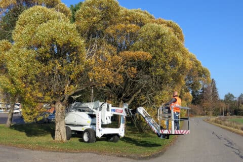 DINO280RXT_special_colour_pic1_hr-480x320